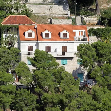 בית הארחה And With A Swimming Pool Pucisca, Brac - 5637